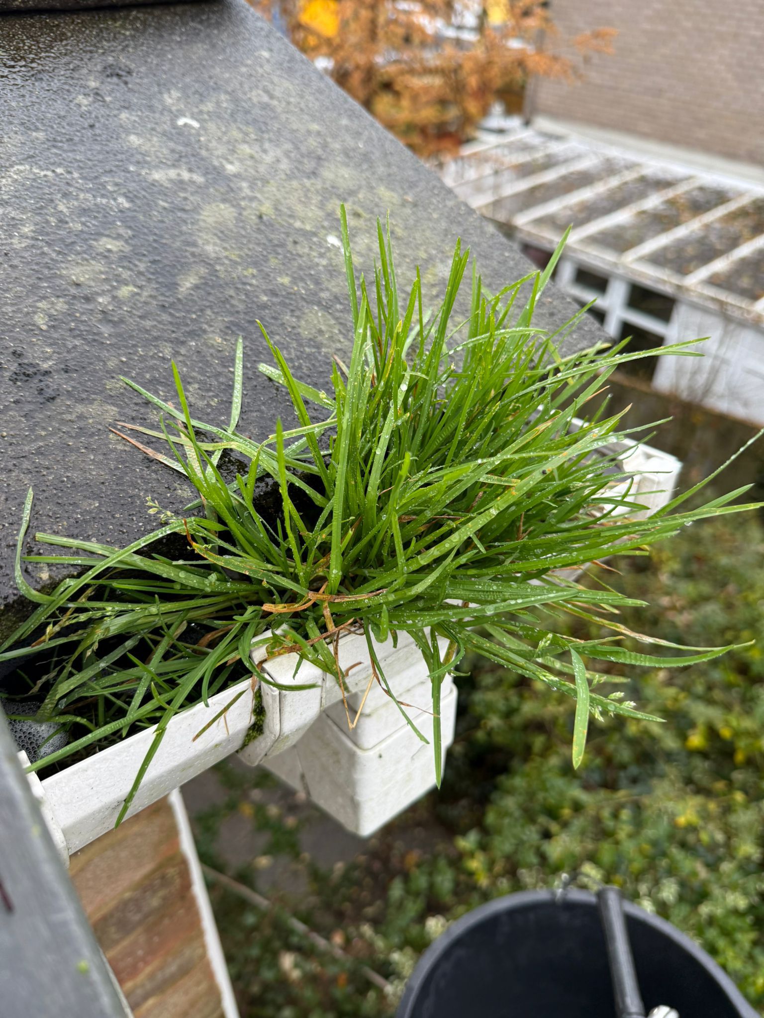 Blocked gutter downpipe in Addlestone